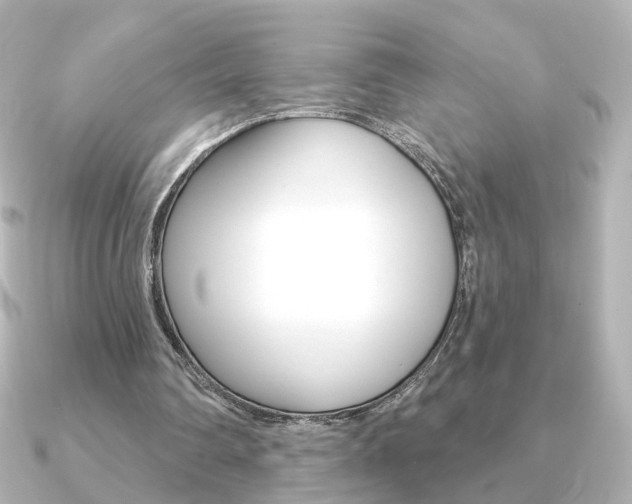 X0000091370290200708101119