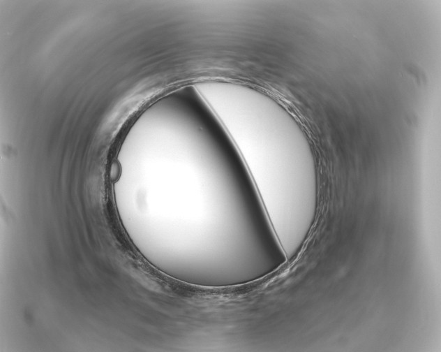 X0000091370291200708101119