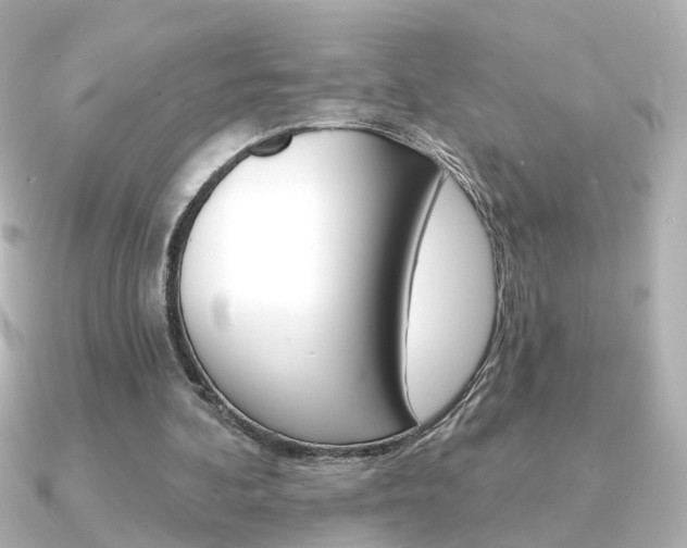 X0000091370292200708101119