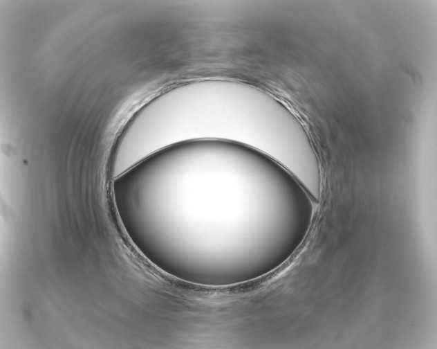 X0000091370293200708101119