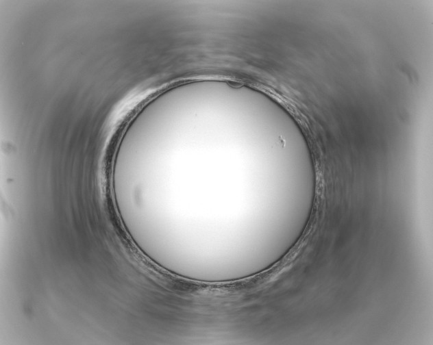 X0000091370294200708101119