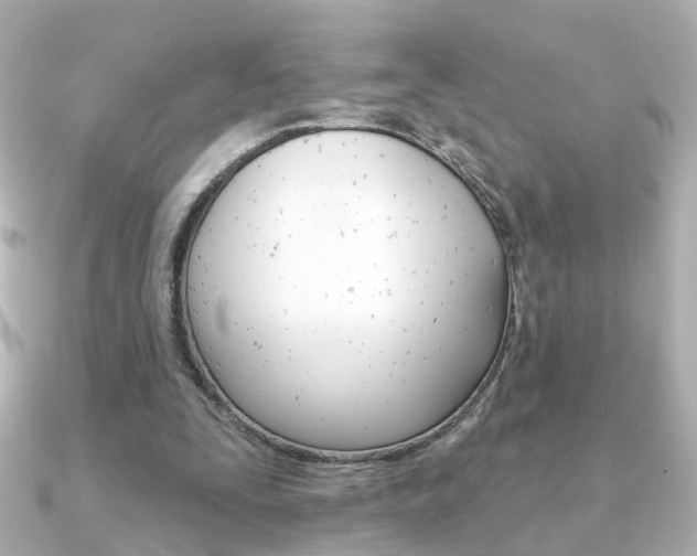 X0000091370295200708101119