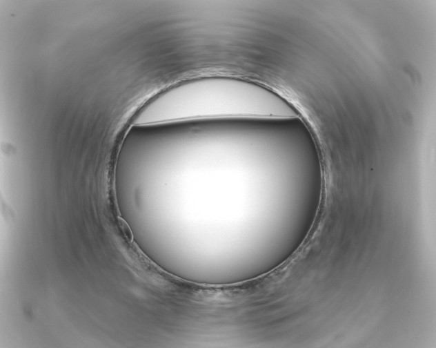 X0000091370297200708101119