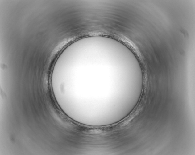 X0000091370298200708101119