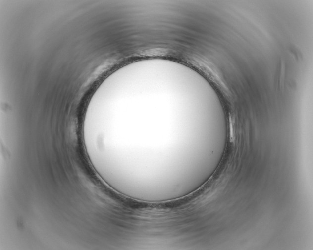 X0000091370300200708101119