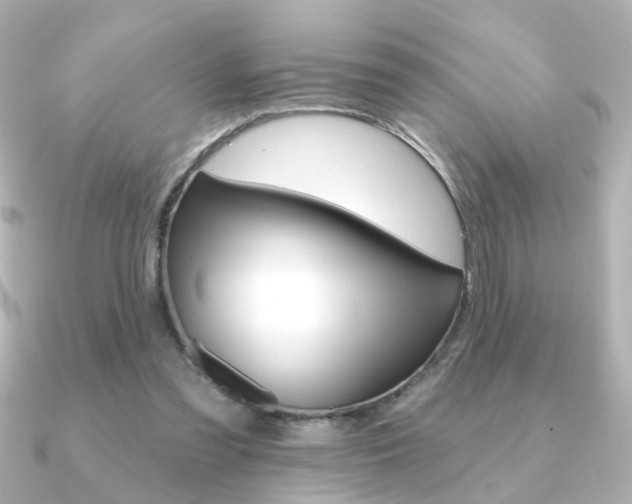 X0000091370301200708101119
