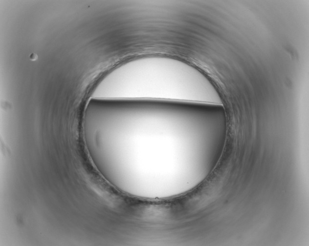 X0000091370303200708101119