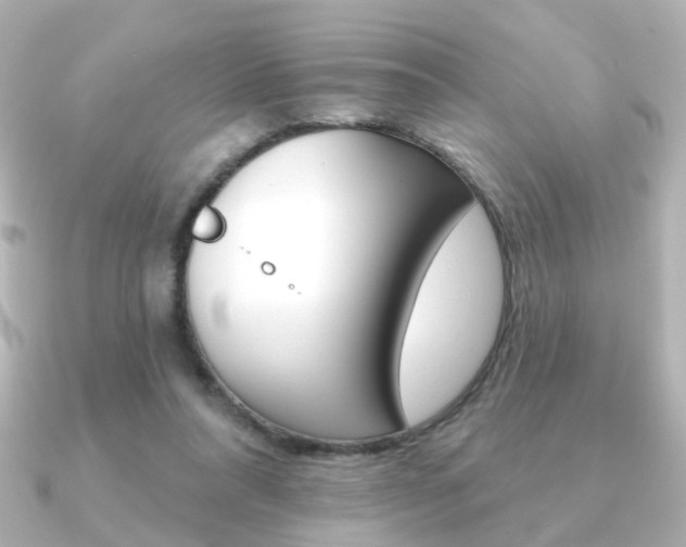 X0000091370304200708101119