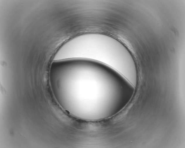 X0000091370305200708101119