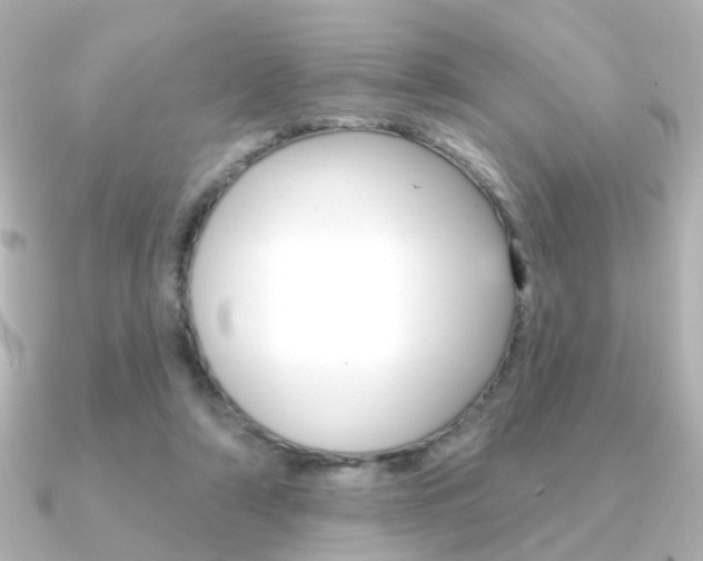 X0000091370306200708101119