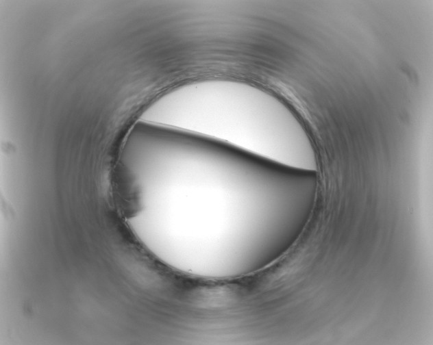 X0000091370307200708101119