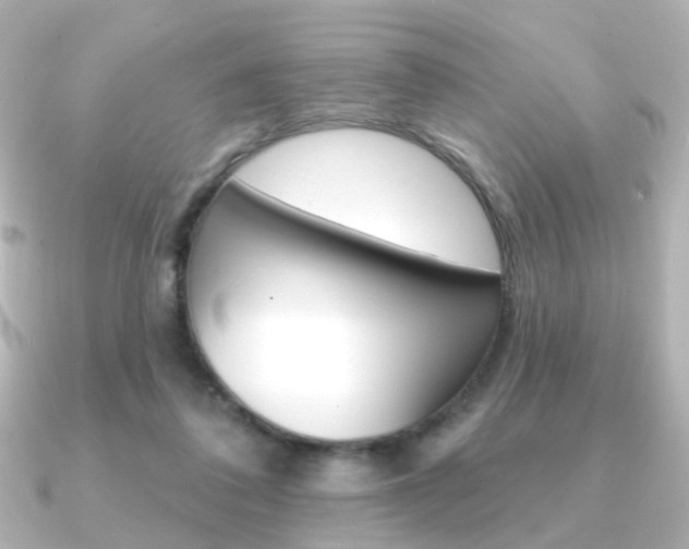 X0000091370308200708101119
