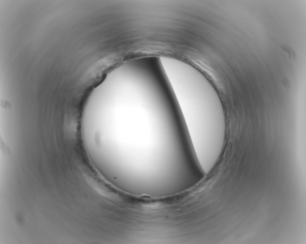 X0000091370309200708101119
