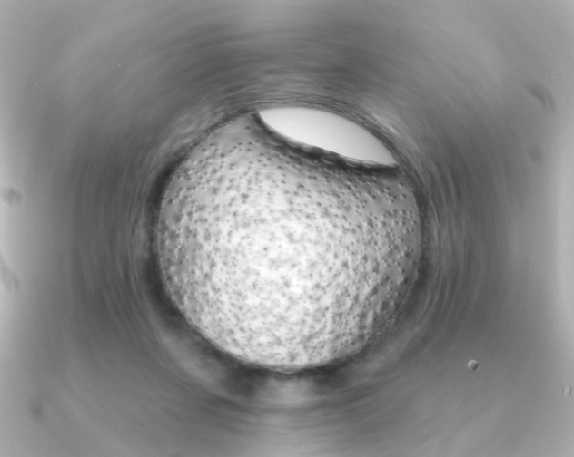 X0000091370311200708101119
