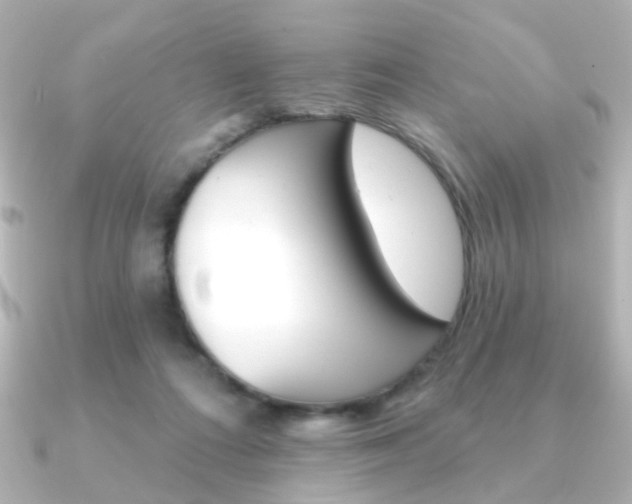 X0000091370312200708101119