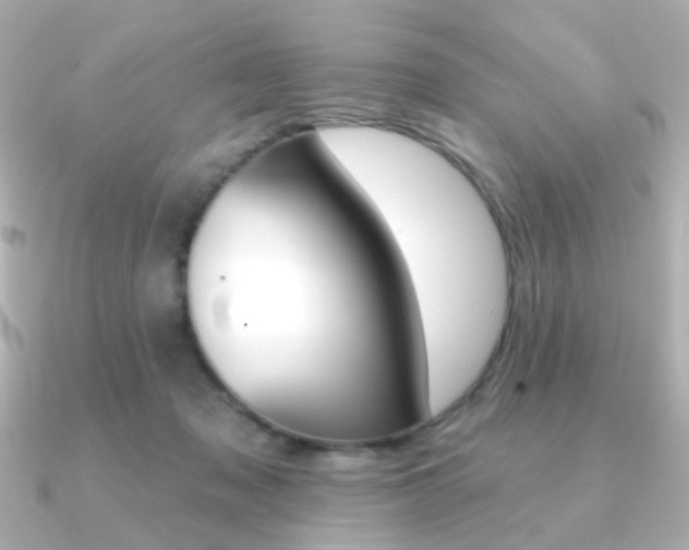 X0000091370317200708101119