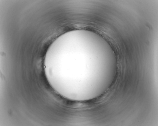 X0000091370319200708101119