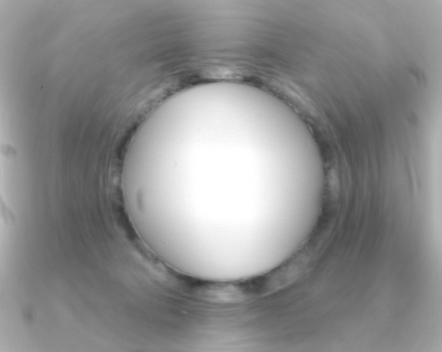 X0000091370322200708101119