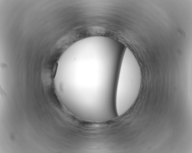 X0000091370323200708101119