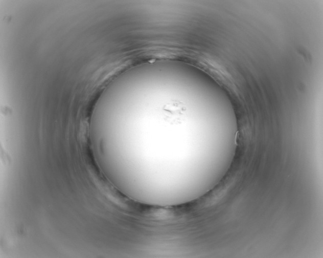X0000091370325200708101119