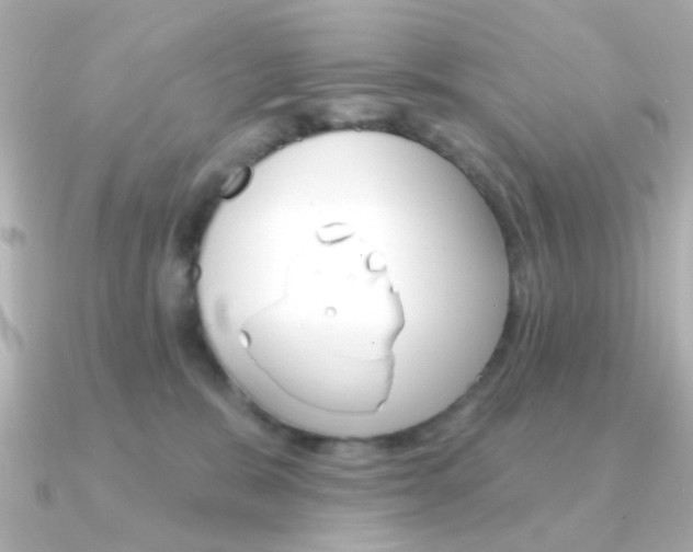 X0000091370327200708101119