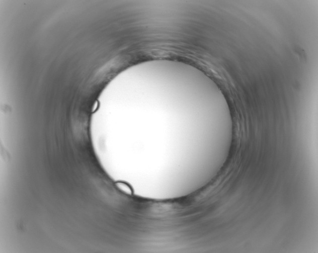 X0000091370332200708101119