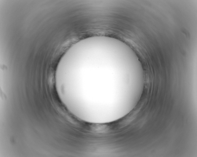 X0000091370334200708101119