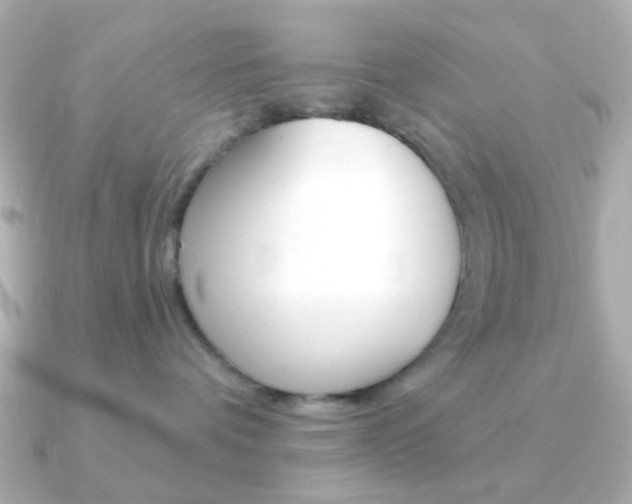 X0000091370336200708101119