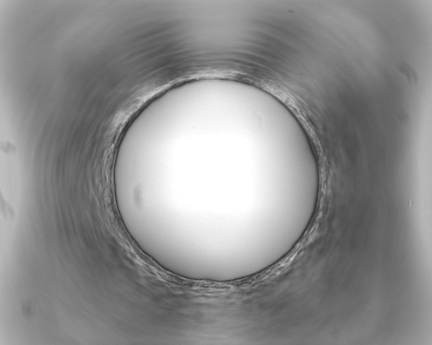 X0000091370337200708101118