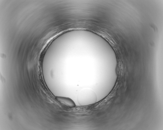 X0000091370338200708101118