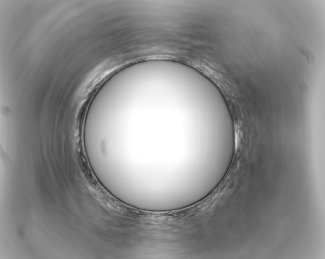 X0000091370339200708101118