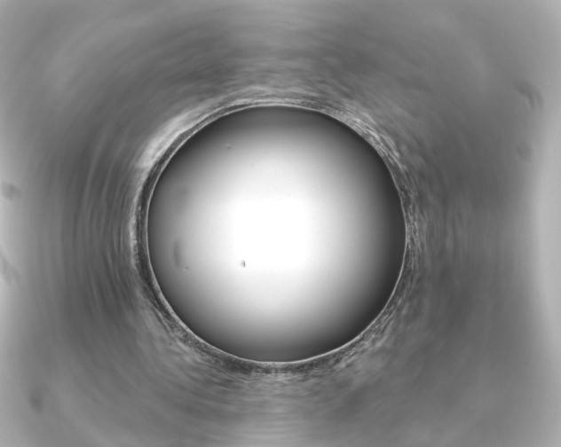 X0000091370340200708101118