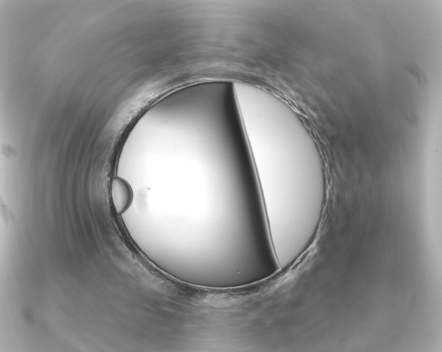 X0000091370341200708101118
