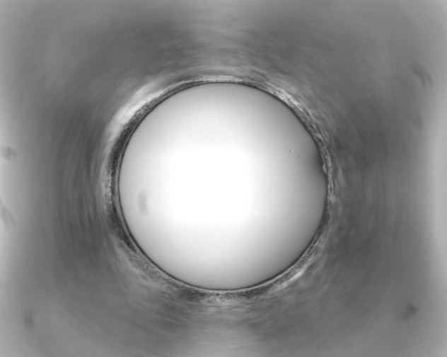 X0000091370343200708101118