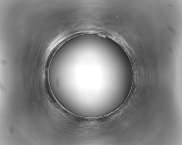 X0000091370344200708101118