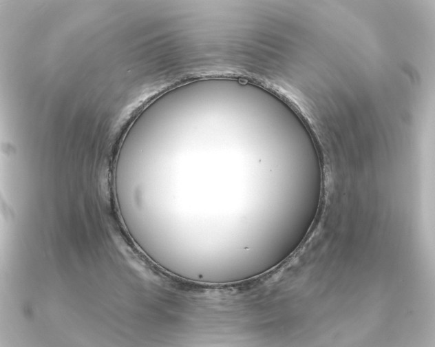 X0000091370345200708101118