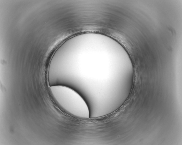X0000091370346200708101118