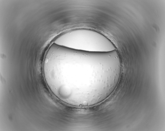X0000091370347200708101118