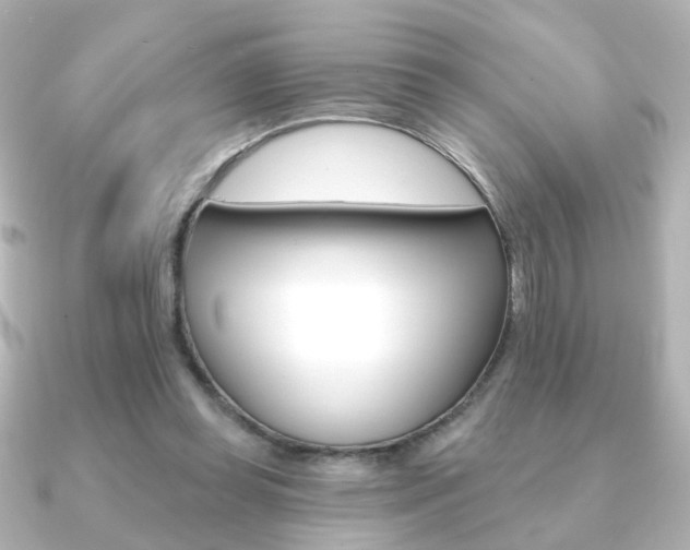 X0000091370349200708101118
