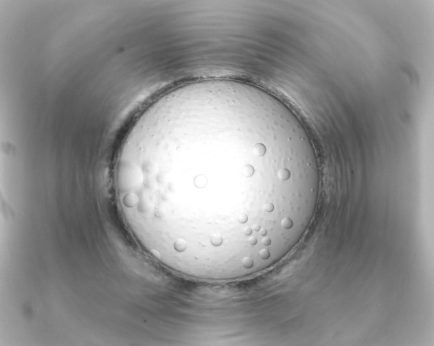 X0000091370351200708101118