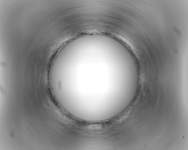 X0000091370353200708101118