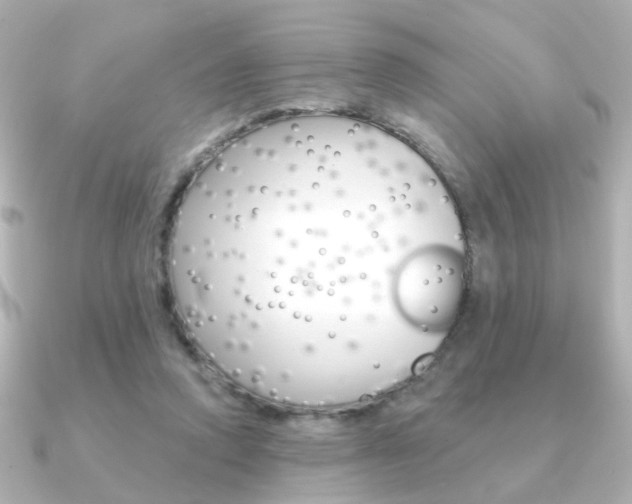 X0000091370354200708101118