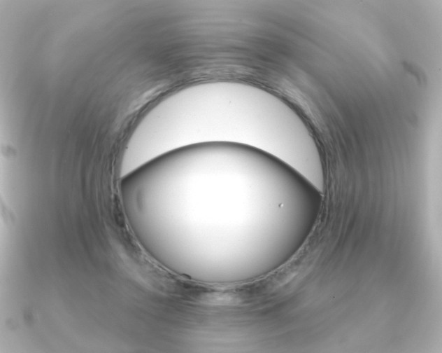 X0000091370356200708101118