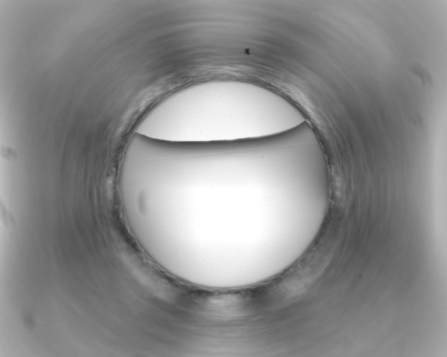 X0000091370357200708101118