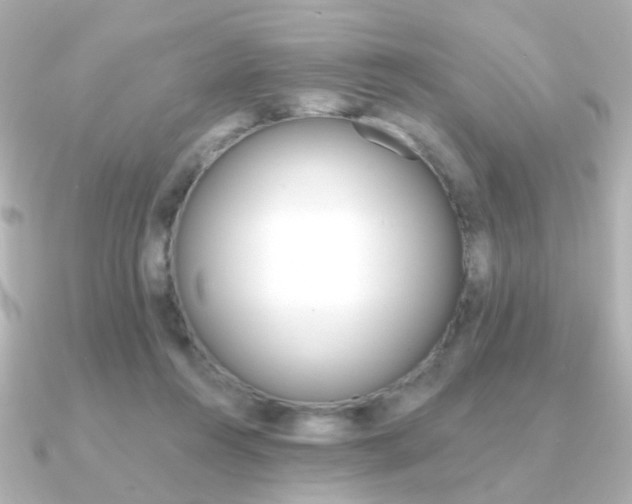 X0000091370360200708101118