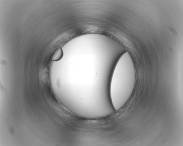 X0000091370361200708101118