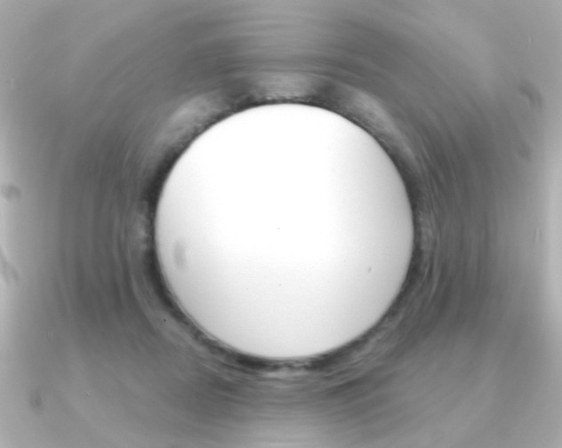 X0000091370362200708101119