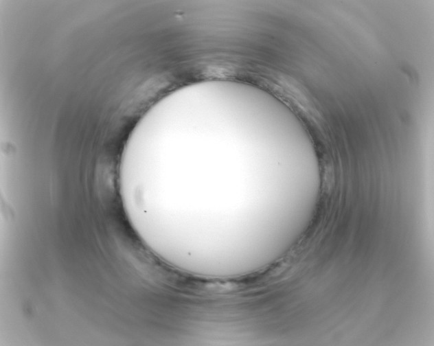 X0000091370363200708101119