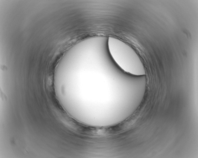X0000091370365200708101119