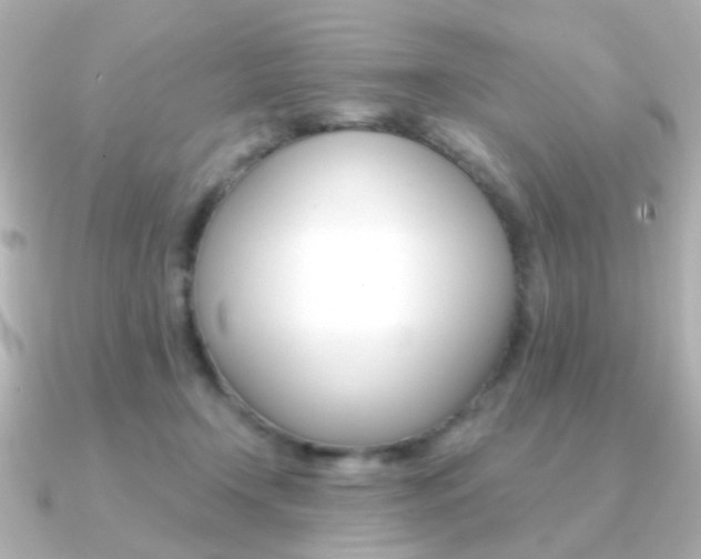 X0000091370366200708101119